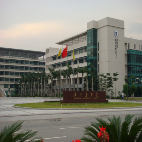 東藥學(xué)院總校 （報(bào)告廳中控會(huì)議系統(tǒng)）