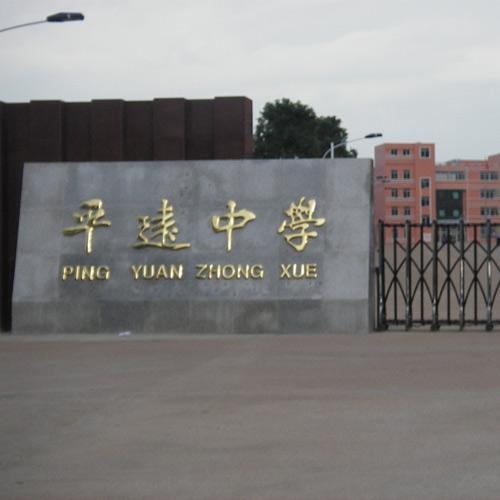 梅州平遠(yuǎn)中學(xué)（多功能廳手拉手會(huì)議系統(tǒng)）